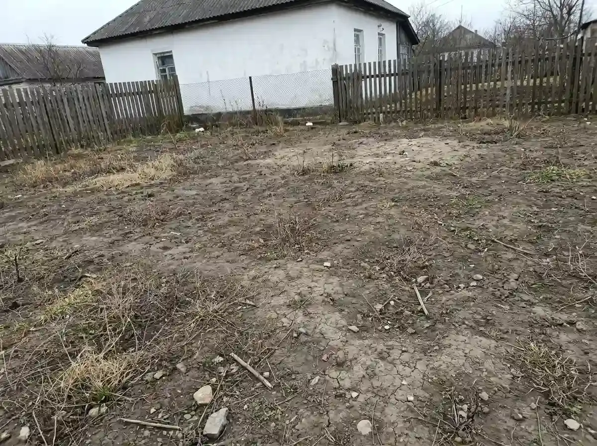 До посіву — порожня ділянка