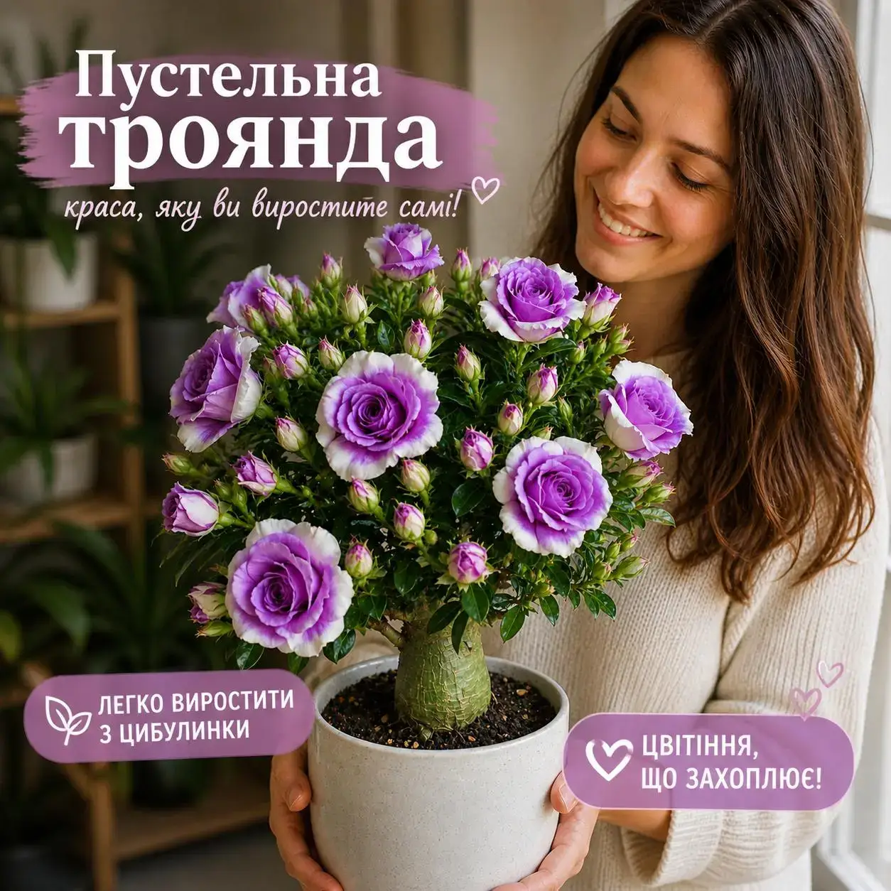 Пустельна троянда
