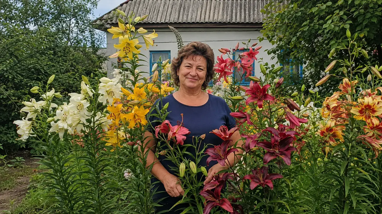 Кольори колекції
