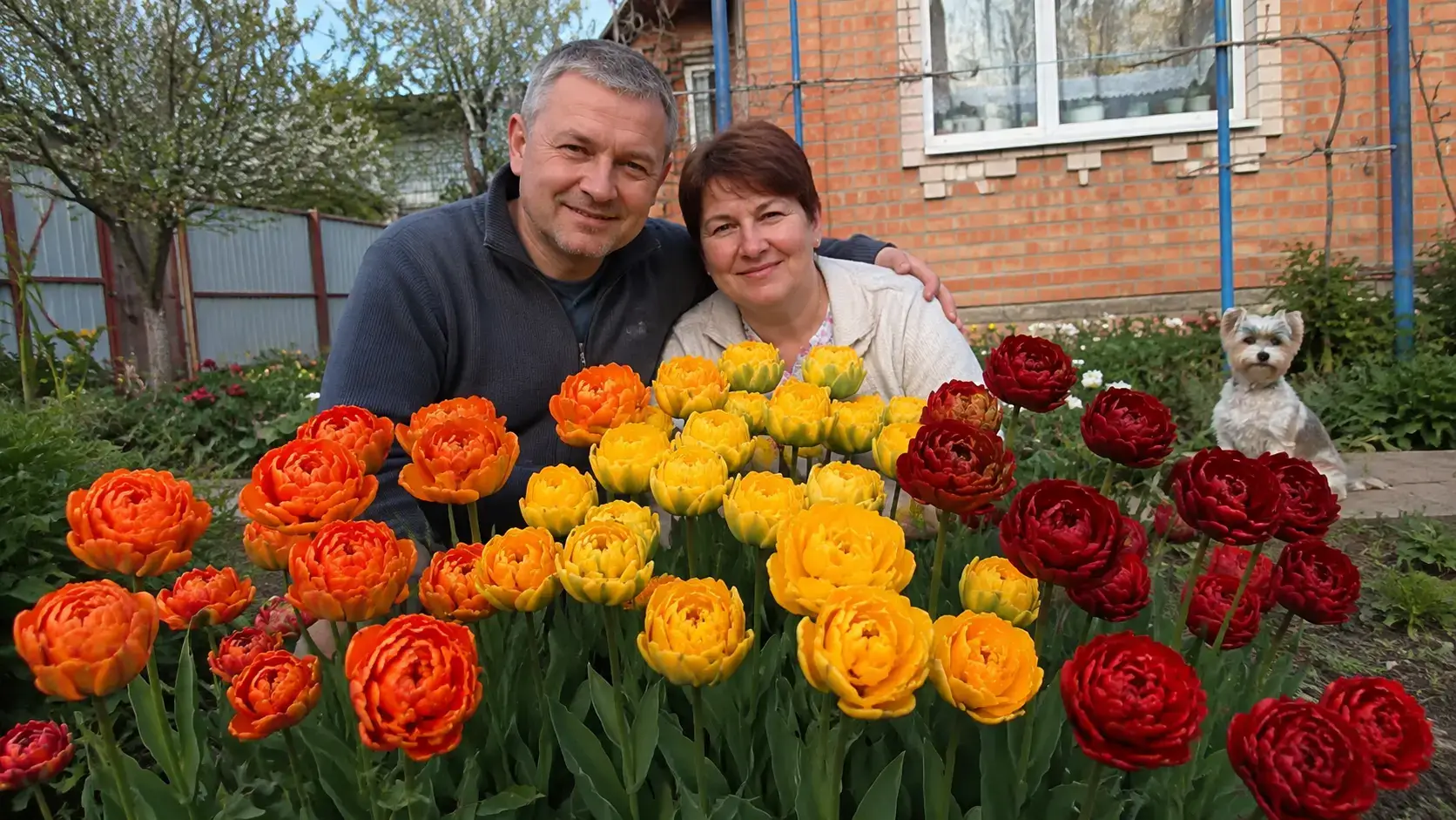 Люди біля різнокольорової клумби